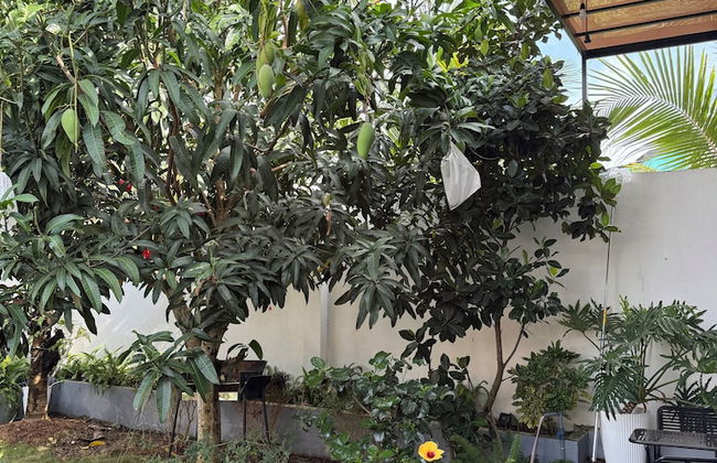 HOMESTAY HALONA - Photo 74