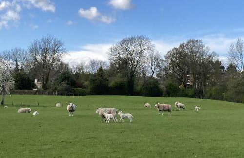 3 Bed in Awre oc-s34503 - Foto 35