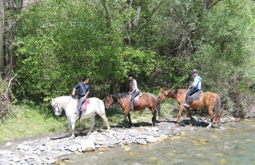 Apartamentos wifi Baqueira & Aigüestortes con jardín privado - Photo 5