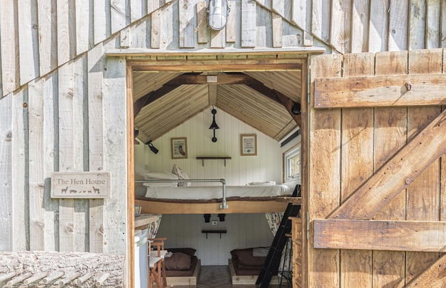 Dartmoor Reach Alpaca Farm - Foto 1