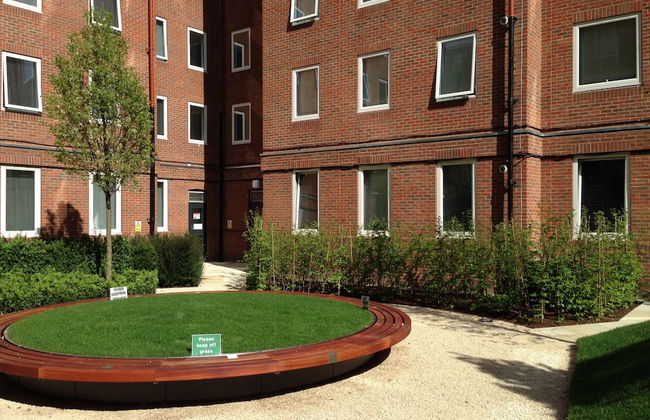 Student Only OLIB - Foto 37