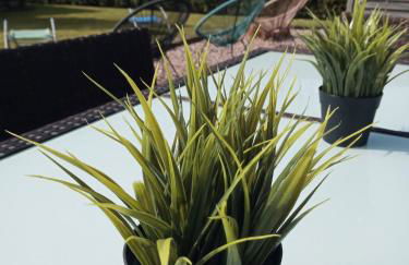 5 Sterne Ferienwohnung Dünensand - Photo 20