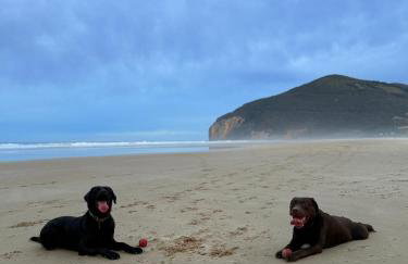 APARTAMENTO con Jardín en Bádames - Foto 6