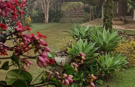 Pousada Rural Rancho do Marçal - Foto 50