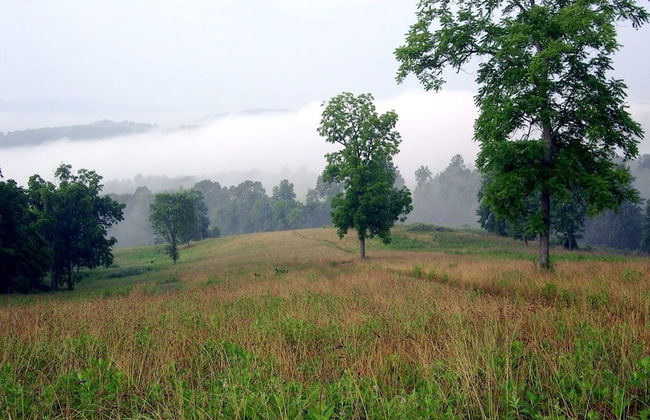 DeHart Cabin - Foto 9
