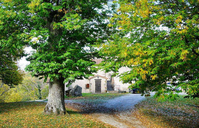 Agriturismo Bio I Rondinelli - Foto 48