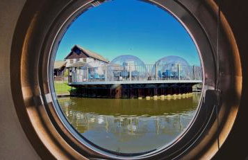 Dragonfly at Aston Marina - Photo 10