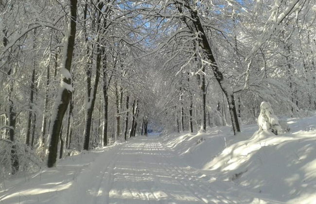 Wohnung in Silbecke mit Garten - Photo 25