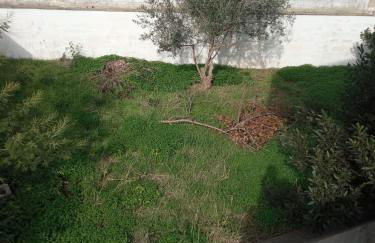 Casetta bianca - Foto 11