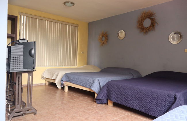 House of Ficus Banderilla,veracruz-mexico - Foto 3