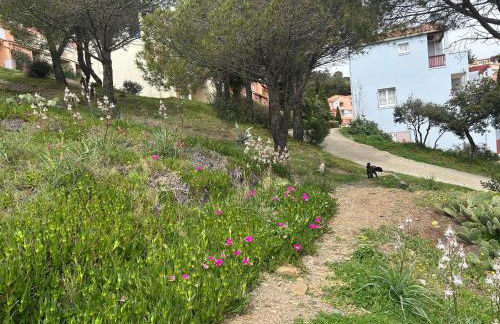 T2 appartment with sea view and swimmimg pool. - Foto 27