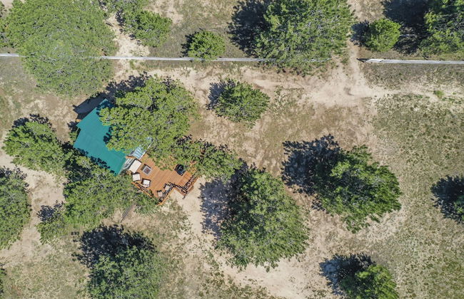 Tree Eagles Nest - Foto 33