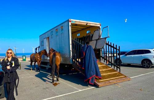 Celebration by the sea - Foto 34