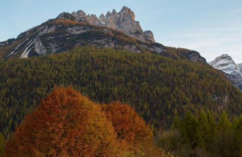 Al Pomer Dolomites Lodges Val di Zoldo - Foto 8