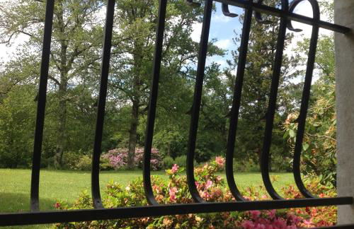 L’Etang Carp fishing lake and Gite - Foto 80