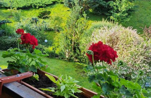 Apartamenty Maja - Foto 63