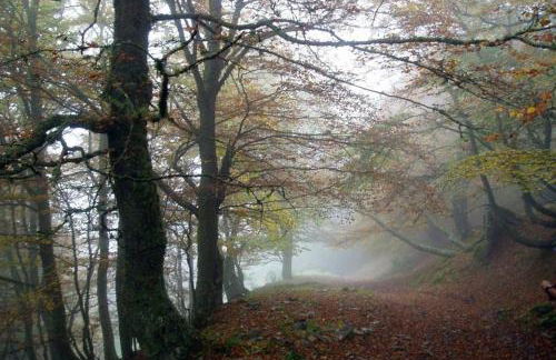 Los Molinos - Atico en Montaña de Asturias - Foto 50