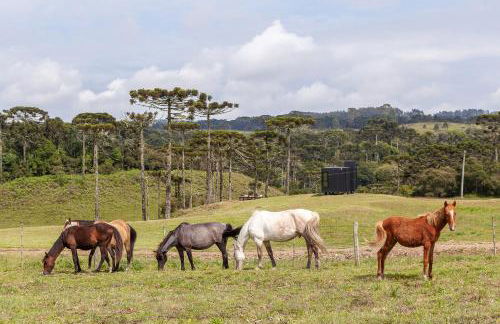 Brumas Casa de Campo - Cambará do Sul - Foto 33