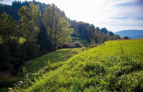 Casa dos Leões- Aldeia dos 4 abades - Foto 35