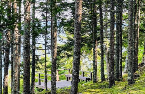 Lake-View Escape! Easy Access to Camden and Belfast - Foto 15