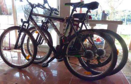 Apartments Ruža Dragove Dugi otok - Foto 80