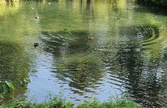 FEWO BEI LEHMANNS - Foto 25