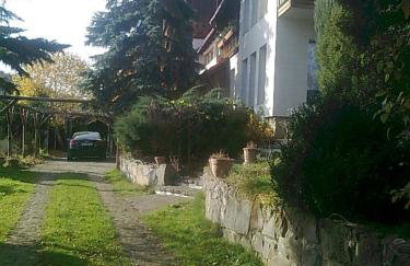 Farma Zdrowia - Foto 38