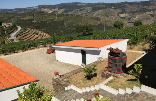 Quinta dos Espinheiros - Foto 59