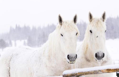 Mountainside Cozy Walk to Gondola Hot Tub Condo - Foto 45
