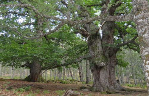 Acogedor piso en El Tiemblo - Photo 27