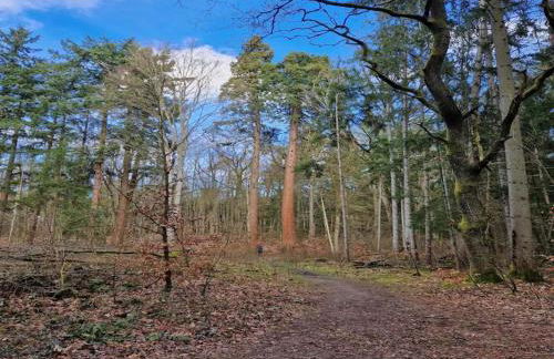 Chalet in Wendorf - Photo 40