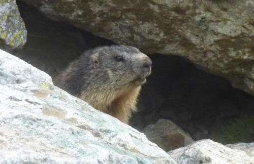 Skis aux pieds station 1600 Sun Vallée - Foto 51