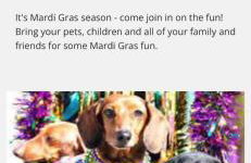 River View, Red River Carriage House - Foto 42