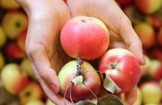 Società Agricola Cacigolara - Photo 75