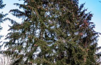 Ferienwohnung Perlitz - Foto 6