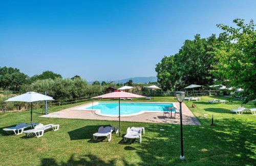 Tulipano - Agriturismo Fogliani - Photo 20