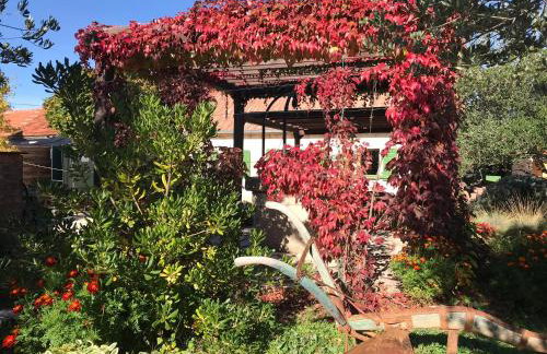 Rural house Mudrinic "Ivini dvori" - Foto 26