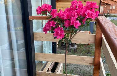 Chalés entre Nuvens - Foto 27