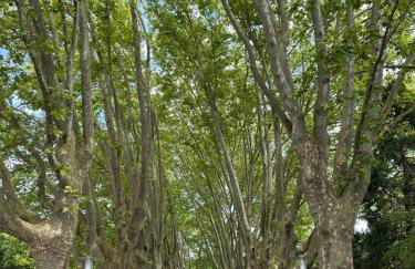 AMAO Obsidian - Business & Family Apartment - Foto 37