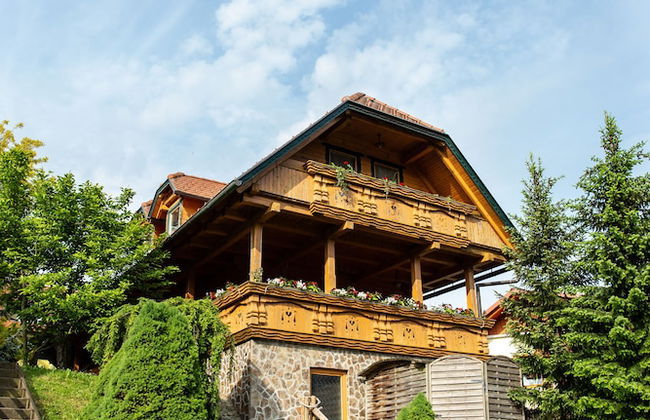 Apartments and wellness center Korošec - Foto 42