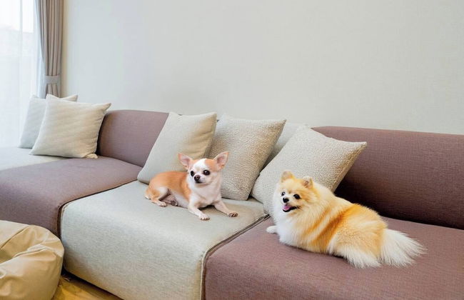 Rakuten STAY VILLA Yatsugatake - Foto 75