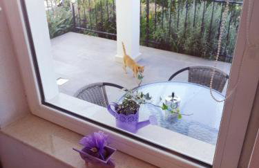 Apartmani Skalinada - Photo 13