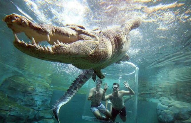 Zen Nest Cozy Lawn Minimalist - Foto 31