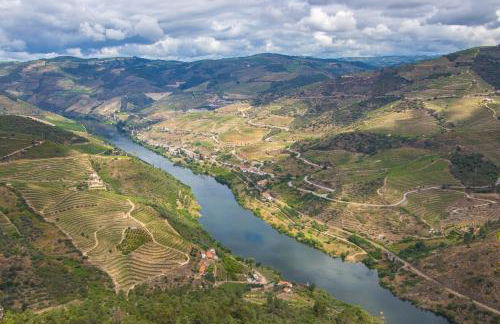 BABhouse Lagar Antigo - Coração do Douro - Foto 26