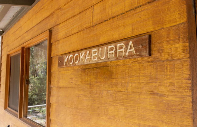 Noble River Estate - Photo 61