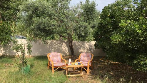 Stellar Beachhouse - Foto 4, Garden, Garden view