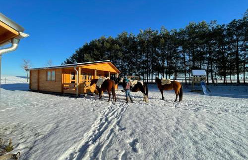 JZ Guest Ranch - Foto 6