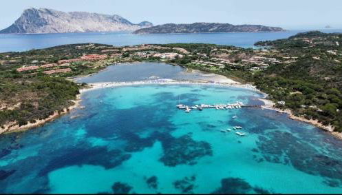 Stella di Coda Cavallo - Foto 5