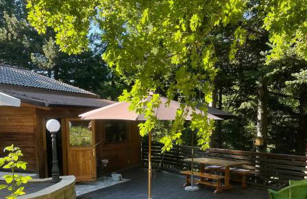 Chalet Leonard House in the wood - Foto 2