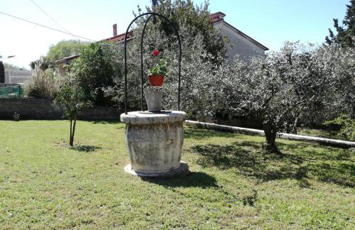 Apartman Sara - Foto 20